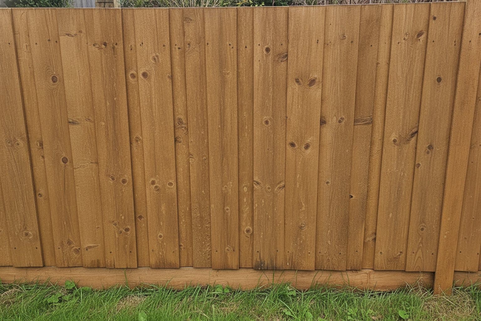 Fence Cleaning
